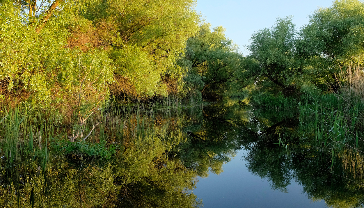 Danube Delta