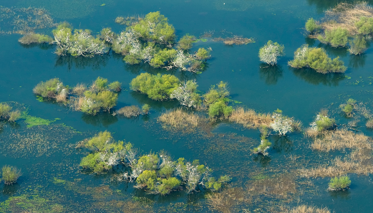 Danube Delta