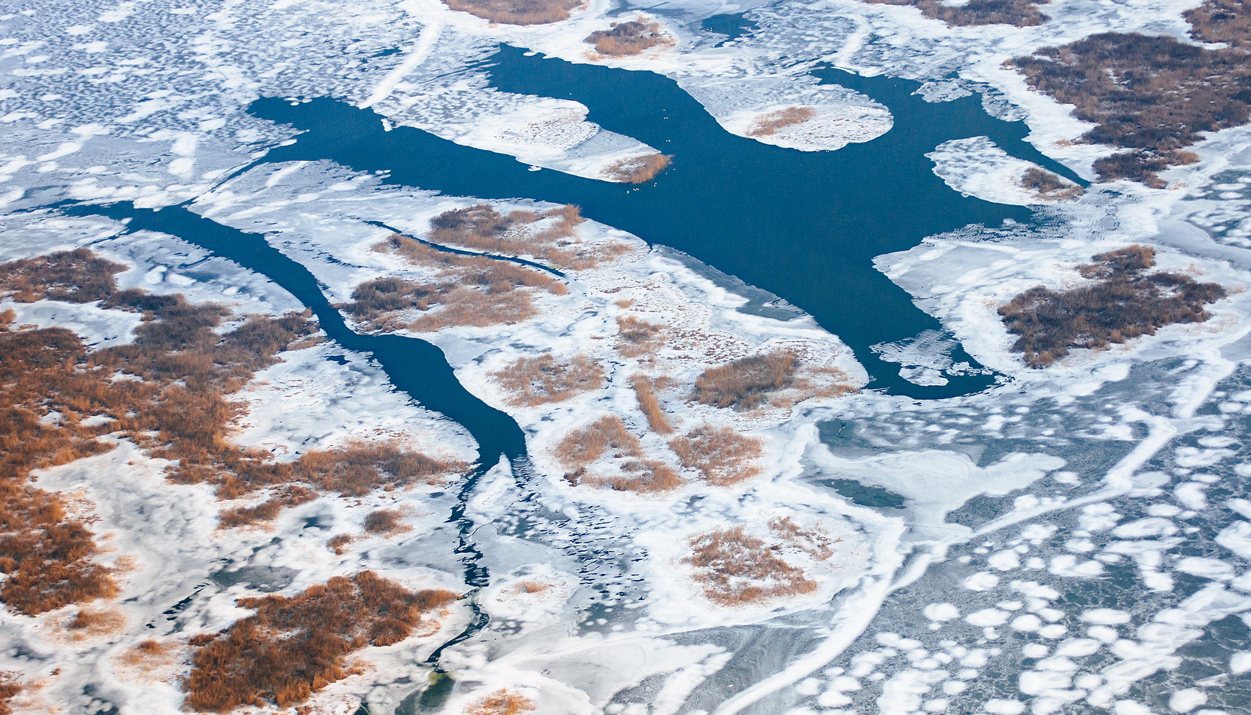 Danube Delta