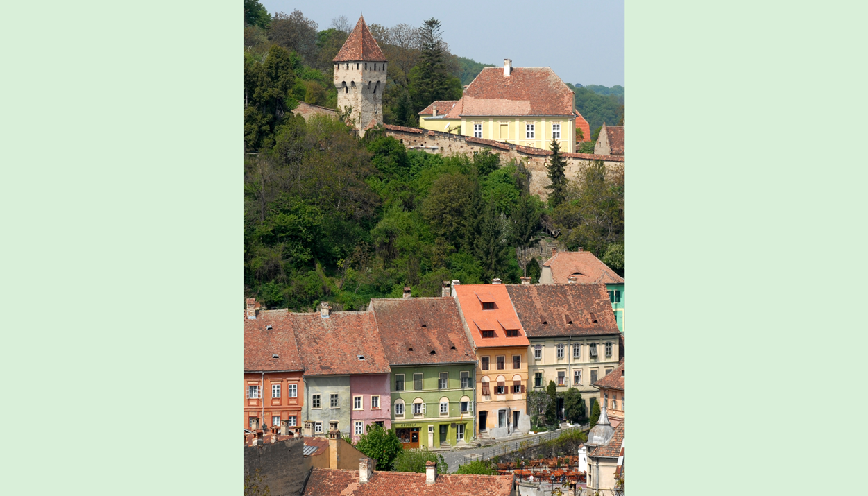 View of the Lower Town and the Tanners' Tower