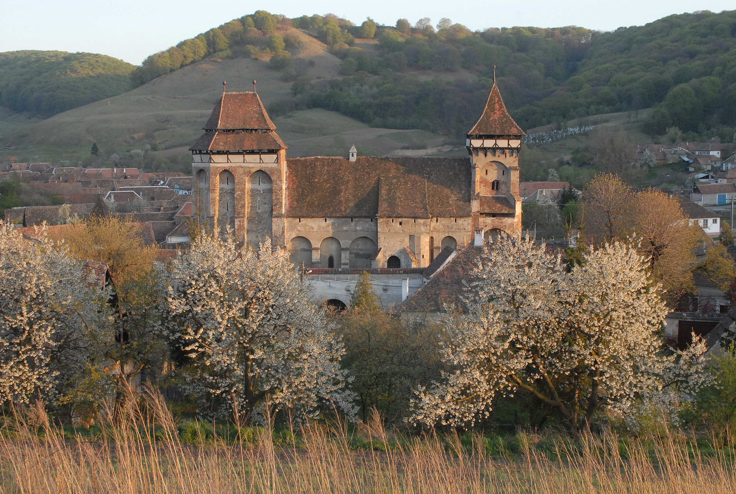Welcome to the World Heritage